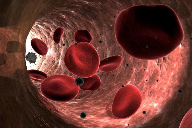 What Are Red Blood Cells And What Is Their Function?
